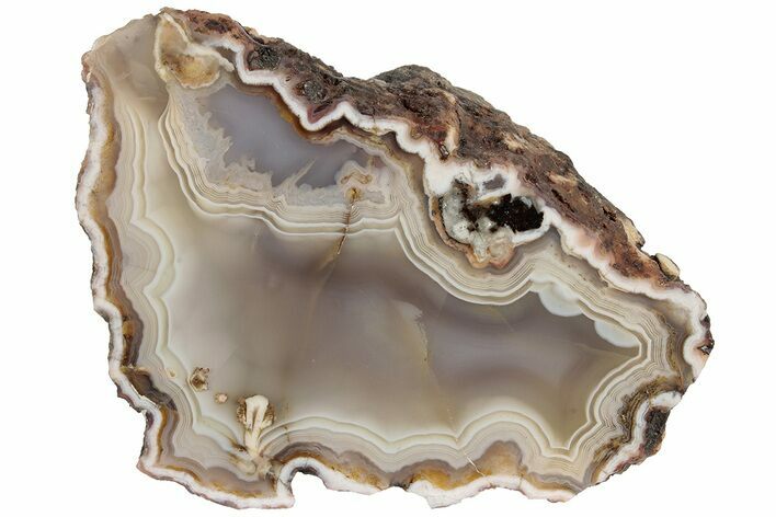 Polished Banded Agate Nodule Section - Morocco #187215